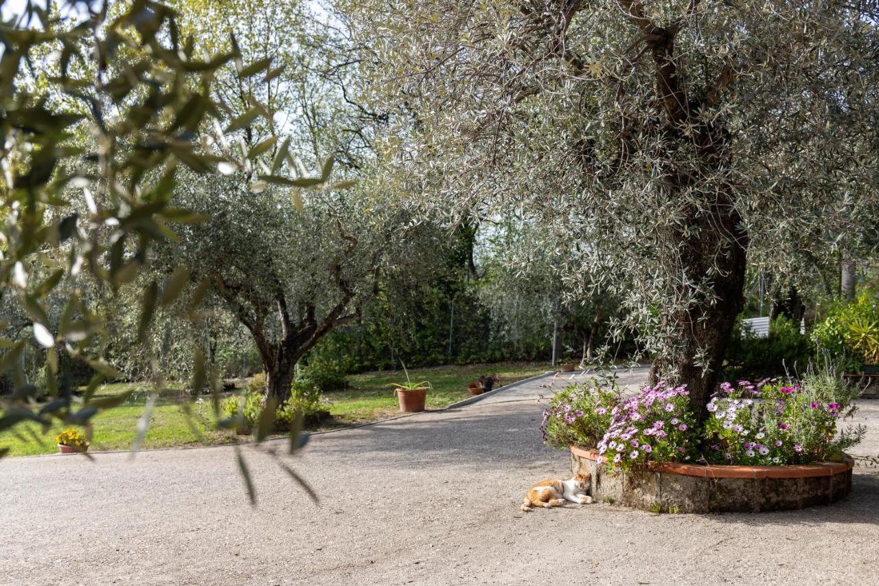 La Tana Delle Stelle B&B Di Charme E Relax Fara in Sabina Bagian luar foto