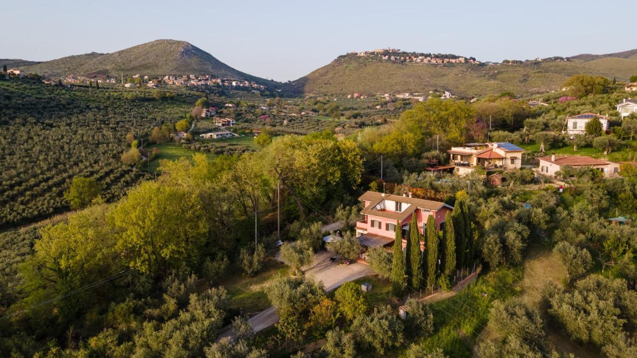 La Tana Delle Stelle B&B Di Charme E Relax Fara in Sabina Bagian luar foto