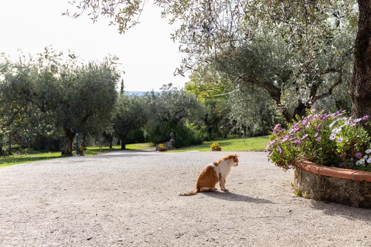 La Tana Delle Stelle B&B Di Charme E Relax Fara in Sabina Bagian luar foto