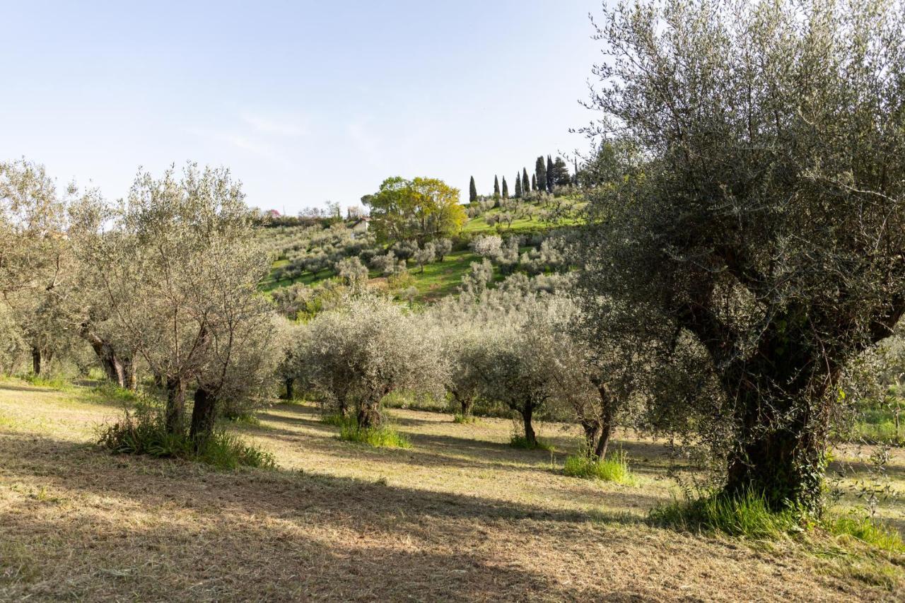 La Tana Delle Stelle B&B Di Charme E Relax Fara in Sabina Bagian luar foto