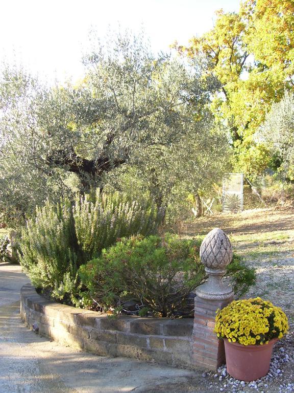 La Tana Delle Stelle B&B Di Charme E Relax Fara in Sabina Bagian luar foto